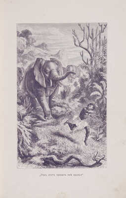 Стенли Г.М. В царстве чёрных. Сцены из жизни и природы Средней Африки / С англ. М. Гранстрем. Изд. 3-е. СПб., 1905.